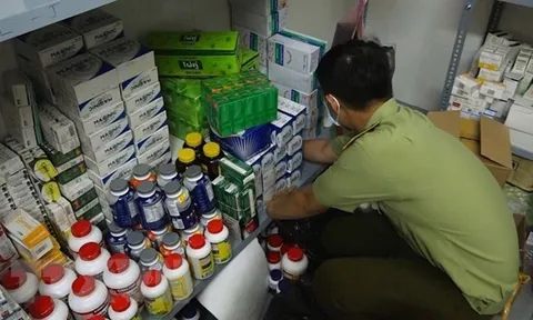 Nâng cao nhận thức để chống nạn 'thuốc giả, dược phẩm giả'