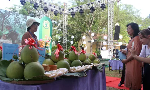 Hàng nghìn người đổ về lễ hội trái cây thanh trà xứ Huế dịp lễ