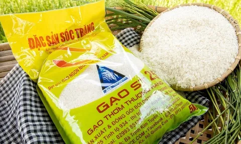 Gạo ST25 vào thực đơn của Văn phòng Nội các Nhật Bản