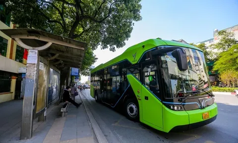 Từ năm 2025, 100% xe buýt thay thế, đầu tư mới sử dụng năng lượng xanh