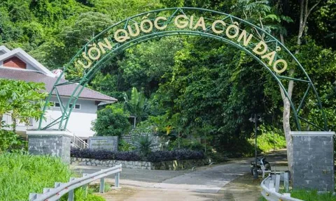 Việt Nam có thêm hai vườn quốc gia được đề cử Vườn Di sản