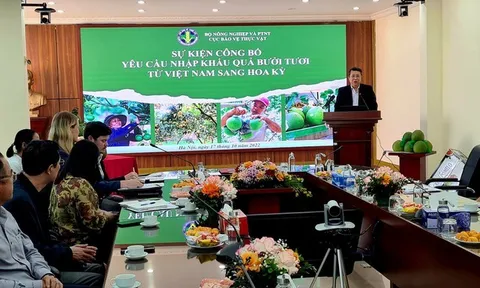 Hoa Kỳ chính thức nhập khẩu bưởi Việt Nam