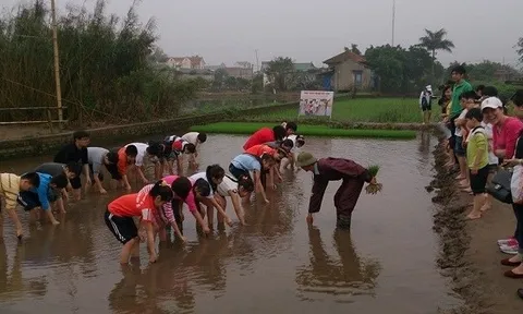 Du lịch nông thôn: “Mỏ vàng” chưa được khai thác hết