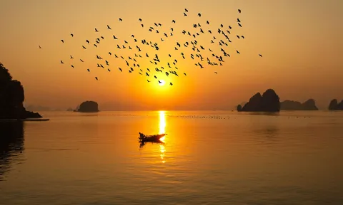 Du lịch vịnh Bái Tử Long (Quảng Ninh): Cánh cửa đang mở rộng