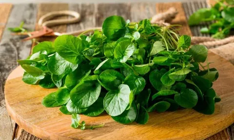 Loại rau rẻ bèo ở Việt Nam được nước Mỹ chấm "10 điểm", tốt ngang thịt bò