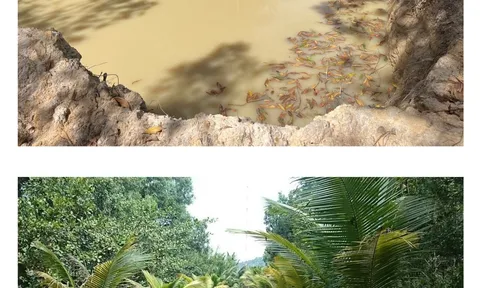 Vụ kiện dân sự tranh chấp đất tại Phú Quốc - Kiên Giang: Nguyên đơn Tô Hoàng Huy khiếu nại yêu cầu Tòa án xem xét lại quyết định