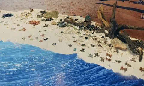 Lạc vào "xứ sở" rùa biển gốm giữa Hà Nội: Đằng sau khung cảnh biển cực "ảo" là ý nghĩa vô cùng đặc biệt mà ai cũng nên biết