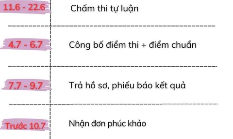 Link Tra cứu ĐIỂM THI, ĐIỂM CHUẨN TUYỂN SINH lớp 10 của Hà Nội