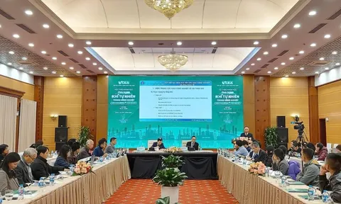 Xây dựng thị trường minh bạch cho ứng dụng khí tự nhiên trong công nghiệp
