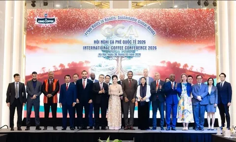 Hội nghị Cà phê Quốc tế 2026: Kết nối ngoại giao, định hình tương lai ngành cà phê toàn cầu