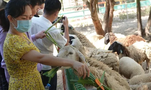 Bình Định xin đón khách quốc tế từ tháng 11