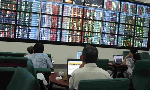 VN-Index giảm điểm, cổ phiếu dầu khí, phân bón vẫn tăng chóng mặt