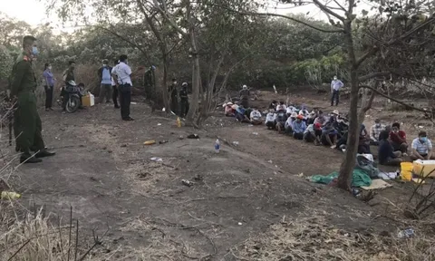 Tiền Giang: Triệt phá tụ điểm đá gà hàng chục đối tượng tham gia