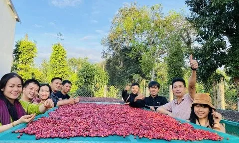 Đắk Lắk thu hút, kêu gọi đầu tư vào nông nghiệp, chế biến