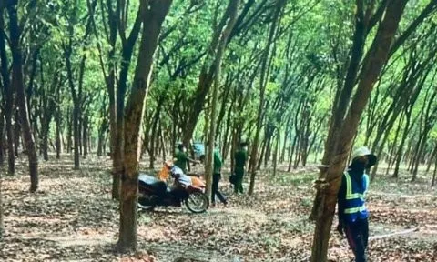 Đồng Nai: Phát hiện thi thể một phụ nữ bị trùm đầu trong lô cao su