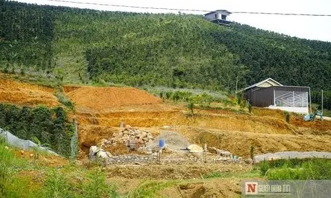 Lâm Đồng: Xử lý nghiêm những Hạt trưởng Kiểm lâm để mất rừng
