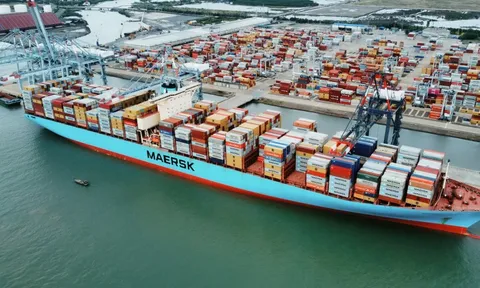 Cảng Cái Mép xếp thứ 11 trong những cảng container hoạt động tốt nhất thế giới