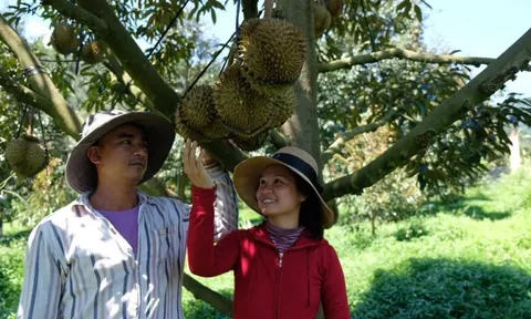 Lễ hội trái cây Khánh Sơn diễn ra 4 ngày với nhiều hoạt động thú vị