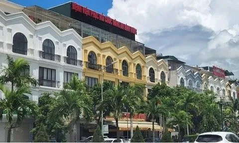 Sở KHĐT Thanh Hóa phản hồi kết luận thanh tra việc giao 1,1ha "đất vàng" cho FLC