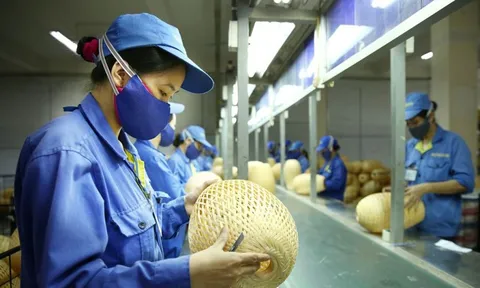 Bộ Tài chính tăng cường hỗ trợ pháp lý cho doanh nghiệp nhỏ và vừa