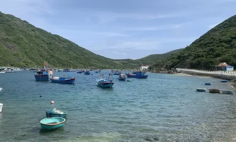 Khánh Hòa: Tiếp tục triển khai thực hiện phục hồi vịnh Nha Trang