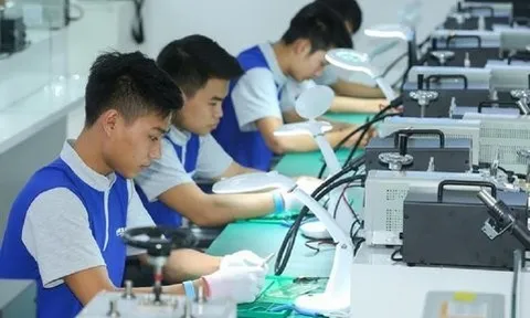 "Giáo dục nghề nghiệp không tuyển sinh được là một sự đau xót"