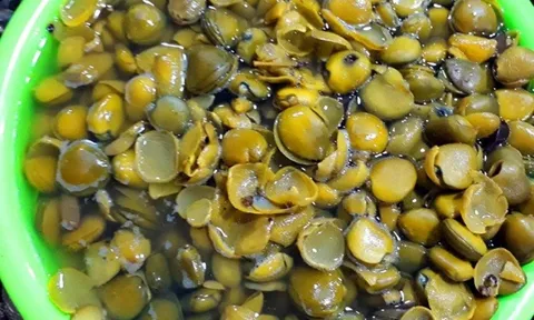 Loại quả xưa “rụng thối gốc” nay thành đặc sản giá 100.000 đồng/kg