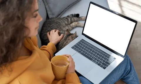 Công nghệ giúp tải phim HD trong vòng “một nốt nhạc”