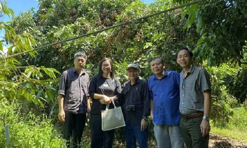 Trở lại Đồng Tháp