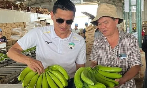 Đang đà tăng trưởng, HAGL lên kế hoạch lợi nhuận đi lùi