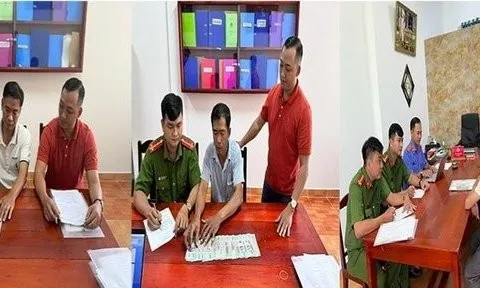 3 nguyên Đội trưởng quản lý rừng ở Phú Quốc tự thú nhận hối lộ