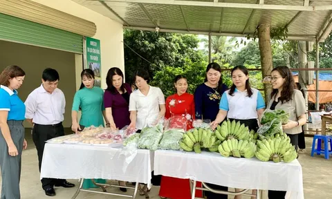 Ra mắt Hợp tác xã nông sản an toàn và dịch vụ thương mại Đông Xuân