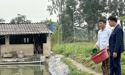 Anh nông dân kiếm hàng trăm triệu đồng nhờ nuôi loại cá "sống ở trên cạn"