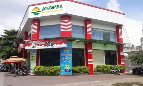 Angimex bán Nhà máy chế biến lúa gạo Bình Thành