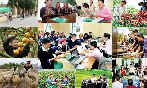 Chính phủ ban hành Chương trình hành động tiếp tục đổi mới, nâng cao chất lượng chính sách xã hội