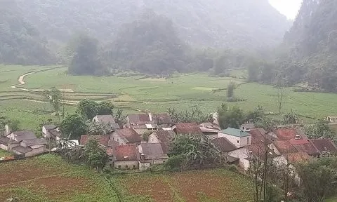 Có về đây sống được không?...