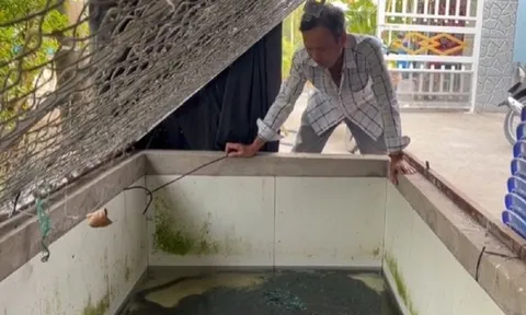 Anh nông dân kiếm trăm triệu đồng nhờ nuôi con “hiền như cục bột”