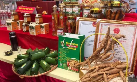 Bắc Giang phát huy thế mạnh từ kinh tế tập thể