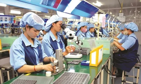 Thị trường lao động khởi sắc, quay lại bình thường như trước dịch COVID-19