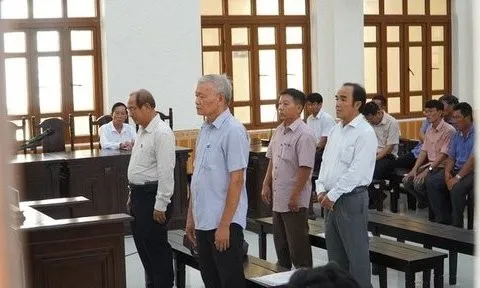 Vụ huỷ hoại rừng ở Bình Thuận: Đề nghị không cho hưởng án treo