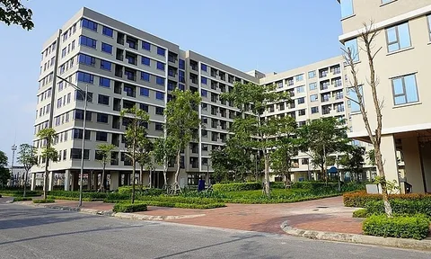 Chính phủ thông qua Đề nghị Luật Kinh doanh bất động sản và Luật Nhà ở có hiệu lực sớm hơn 6 tháng