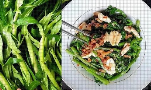 Ăn 1 mớ rau này tốt ngang thịt, tuy mọc dại đầy mương nhưng ví như "thuốc bổ"