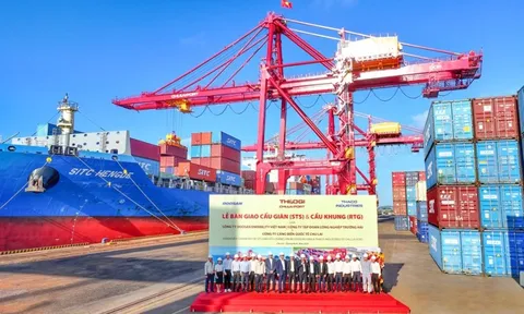Cảng Chu Lai đưa vào vận hành hệ thống cẩu chuyên dụng