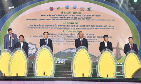 Tây Ninh công bố vùng an toàn dịch bệnh chăn nuôi