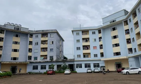 Đề nghị thanh tra toàn diện công tác phát triển nhà ở xã hội