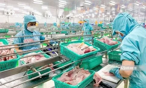 Trái chiều bức tranh kinh doanh ngành thủy sản