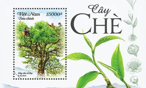Phát hành bộ tem 'Cây chè'