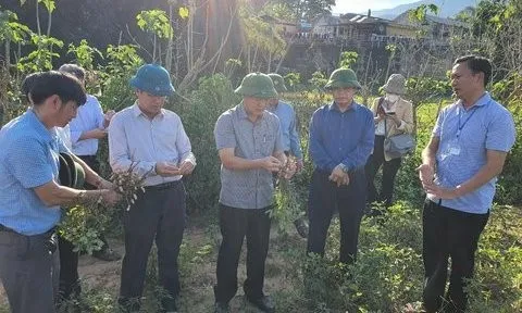 Điện Biên: Nâng cao nhận thức, trách nhiệm của cả hệ thống chính trị về giảm nghèo bền vững giai đoạn 2021-2025