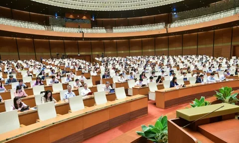 Dự thảo Luật Đường bộ: Thanh tra giao thông có được kiểm tra, xử lý vi phạm trên đường không?