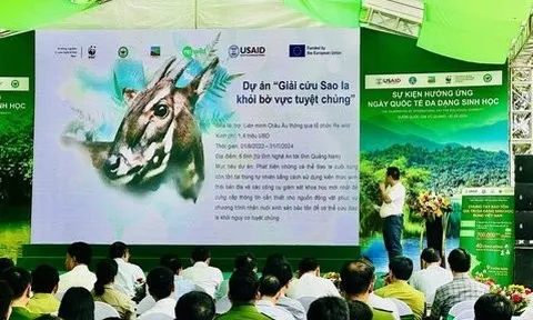 Sống có trách nhiệm với động vật hoang dã